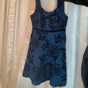 Knee length flare blue and black velvet dress